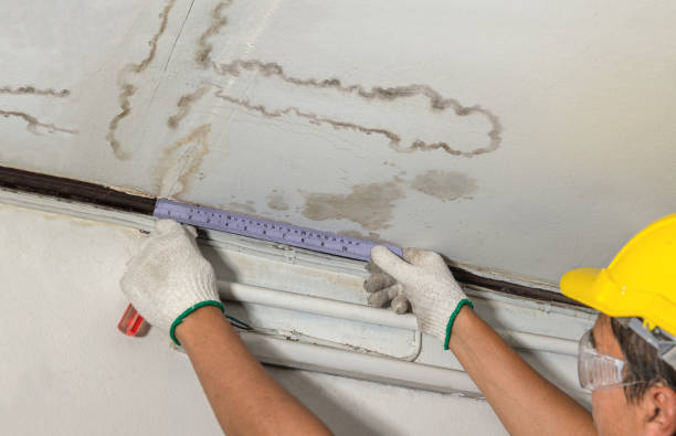 Reliable Sewage Cleanup contractor in Valley City, ND by Water Damage Irwin